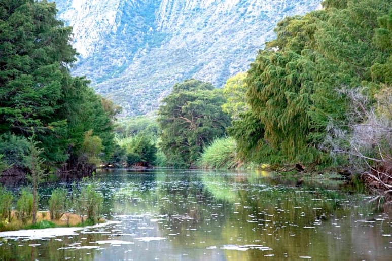 Luis Sánchez Russek, presidente de la asociación civil Va Por El Cañón de Fernández, aseguró que se encuentran vigilantes de todas las acciones que se pretenden ejecutar dentro del Área Natural Protegida con motivo del Proyecto de Agua Saludable Para La Laguna promovido por el Gobierno Federal a través de la Conagua. También que muy pronto visitarán la zona donde se pretende instalar el rebombeo. (DIANA GONZÁLEZ)