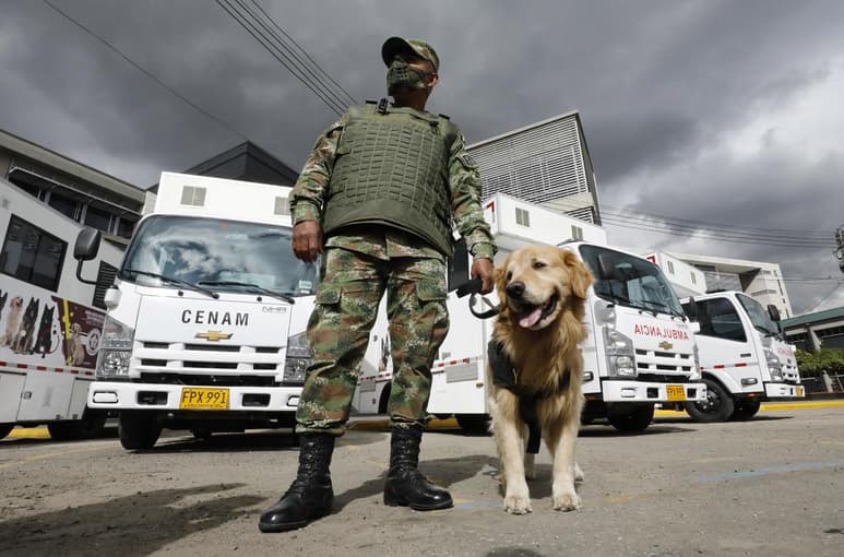 Las autoridades colombianas incautaron el jueves 67 kilogramos de un explosivo y 700 metros de cordón detonante en el sur de Bogotá que supuestamente iba a ser utilizado en un atentado en la capital de Colombia, según información de inteligencia. (ARCHIVO)