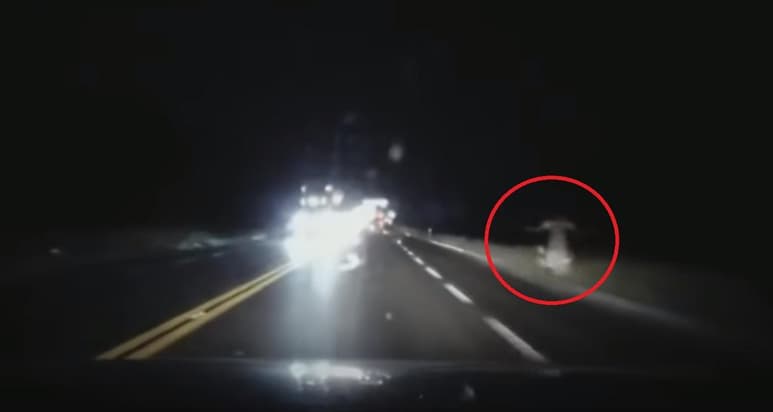 El video que captó la figura de la 'mujer' en la carretera Saltillo-Torreón, no tardó en viralizarse en redes sociales (CAPTURA)