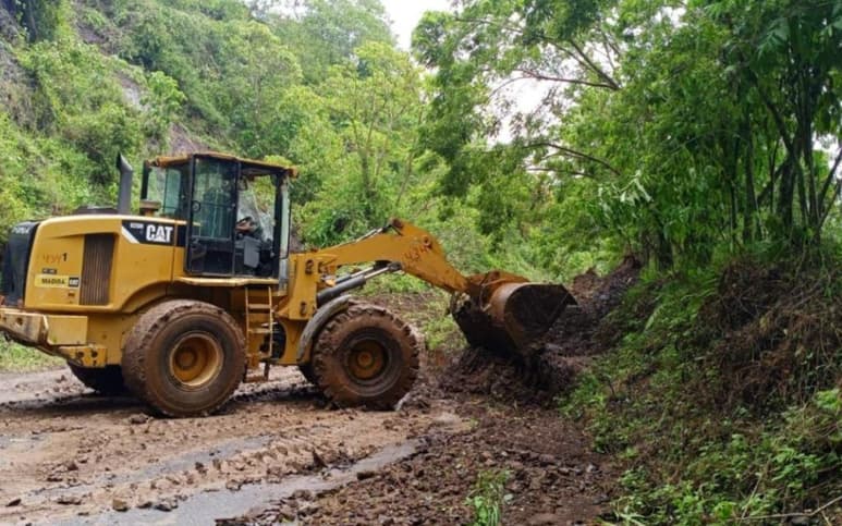 Las hectáreas siniestradas se contabilizan en 11 municipios de las sierras Norte y Nororiental. (ESPECIAL)