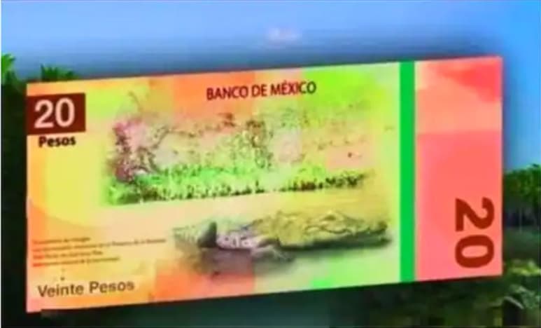 'Billete de 20 pesos [del] Banco de San Luis Potosí, escaso... Lo que ves es lo que recibes', reza la descripción puesta por el vendedor identificado como 'Coleccionables-MTY'. (ARCHIVO)