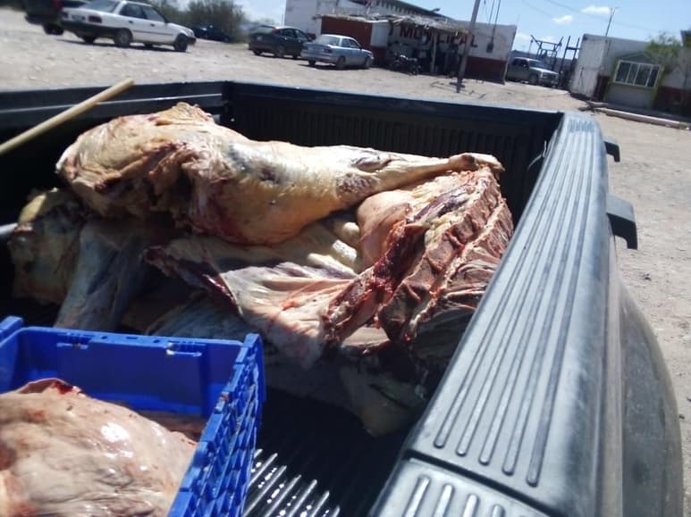 Diana Guadalupe Barrios Durán, introductora de ganado, manifestó que en la presente Administración no se han hecho mejoras al rastro. (EL SIGLO DE TORREÓN)