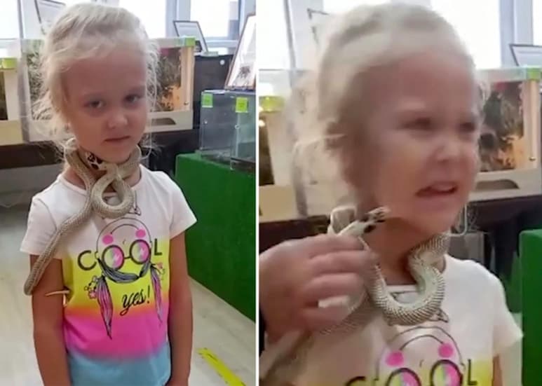 La niña fue llevada al hospital por precaución, pero está bien de salud, reportan. (INTERNET)