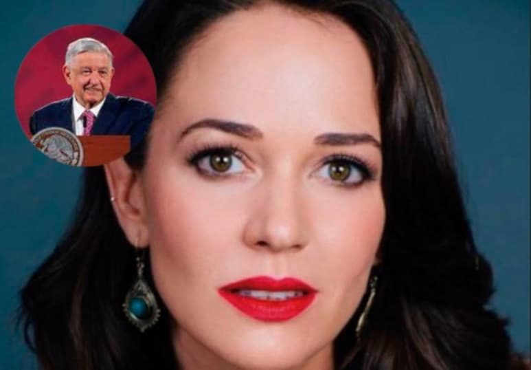 En la conferencia matutina de Andrés Manuel López Obrador de este jueves, la actriz Laisha Wilkins fue señalada dentro del segmento “¿Quién es quién en las mentiras de la semana?”, tan es así que fue acusada de atacar el gobierno que encabeza el Morenista.