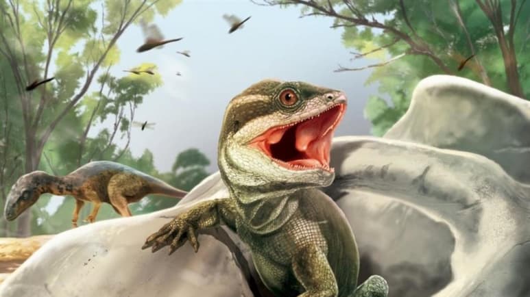 Los lagartos y las serpientes son un componente clave de la mayoría de los ecosistemas terrestres. Ahora, un equipo científico describe una nueva especie de reptil, hallada en Argentina, que representa el miembro más primitivo de los lepidosaurios, un grupo que hoy alberga más de 10,000 especies. (ESPECIAL)