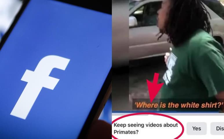 La Inteligencia Artificial de Facebook, detectó como 'primates' a hombres de piel negra a través de sugerencias de videos, lo que llevó a la red social a hacer mejoras en su herramienta (CAPTURA)