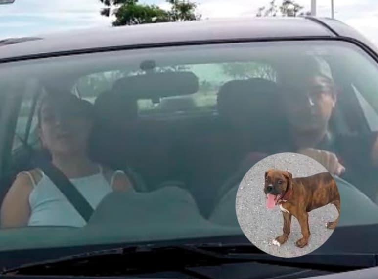 Fue la tarde de este lunes que lectores hicieron llegar a esta casa editora algunas fotografías y videos de una pareja de Gómez Palacio, Durango que pagó dinero a oficiales de policía para poderse retirar de la escena tras arrollar a un perro Boxer.