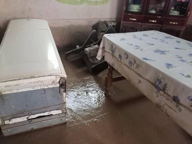 Los 234 habitantes este fin de semana sufrieron una nueva tragedia con la tormenta, que acabó con sus escasos patrimonios, informó la alcaldesa Yolanda Cantú Moncada, que prepara un plan de ayuda para las familias damnificadas.