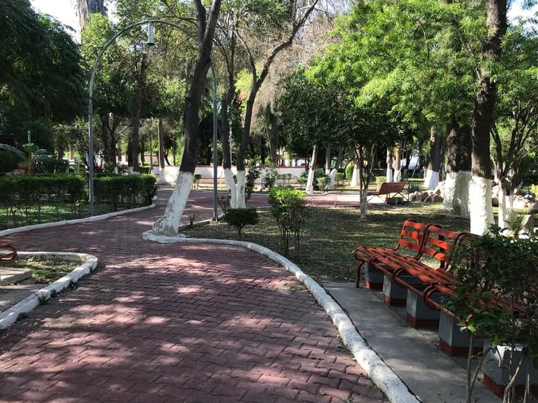 El acuerdo de la Comisión de Ecología podría ser turnado al pleno del Cabildo la próxima semana para su aprobación. (EL SIGLO DE TORREÓN)