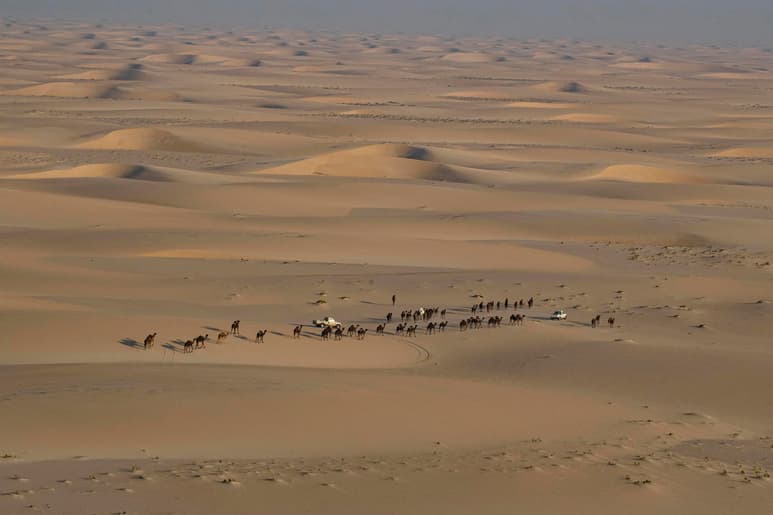 Cada año miles de personas se desplazan huyendo de los efectos del cambio climático pero las variaciones del clima no siempre han perjudicado al hombre. Hace 400,000 años, repetidos episodios de aumento de las precipitaciones transformaron Arabia en una exuberante región que favoreció las primeras migraciones desde África a Eurasia. (ARCHIVO)