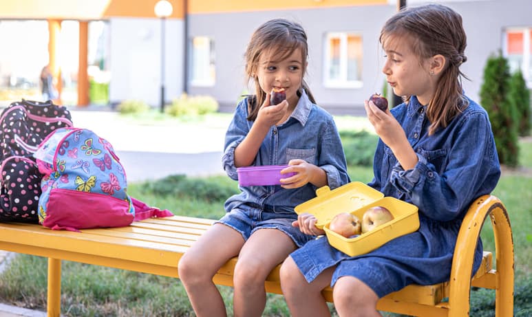 El regreso a clases es una realidad y vale la pena aprovechar la ocasión para recordar la importancia de la alimentación para lograr un óptimo rendimiento escolar.