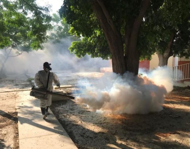 El mosquito transmisor del dengue se reproduce en agua limpia y su rango de vuelo es de alrededor de 100 metros a la redonda. (ARCHIVO)