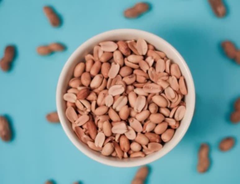 Aunque muchas de las personas consideran que los cacahuates son un fruto seco, se equivocan. Al igual que los frijoles o las lentejas, forman parte de la familia de las leguminosas. Pueden comerse crudos, cocidos, tostados, como botana o como ingrediente de todo tipo de preparaciones.