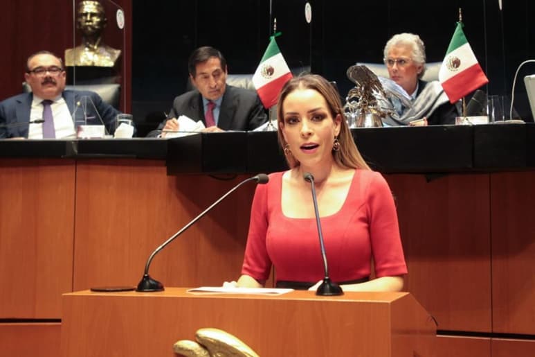 La legisladora federal consideró que la entidad debió haber tenido mayor presupuesto en obras e infraestructura
