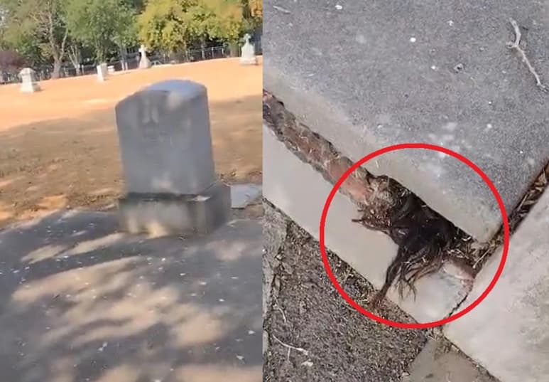 El hombre filmó lo que él piensa es cabello humano, saliendo de una lápida en un cementerio de California, Estados Unidos (CAPTURA)