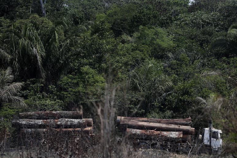 La deforestación en la Amazonía brasileña cayó en agosto por segundo mes consecutivo, pero continúa en niveles altos, según las alertas registradas por el Instituto Nacional de Pesquisas Espaciales (Inpe). (ARCHIVO)
