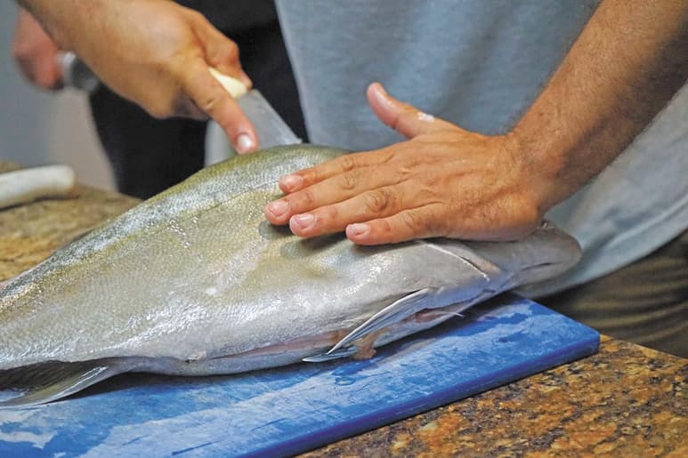Incrementar la producción de 'alimentos azules', derivados de animales, plantas y algas de entornos marinos, contribuye a mejorar la nutrición humana y la sostenibilidad de la industria alimentaria, según una colección de artículos publicados en la revista científica 'Nature'. (ARCHIVO)