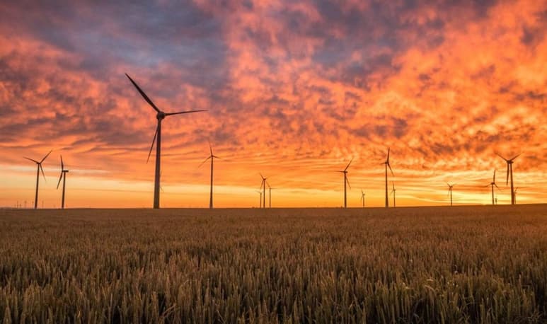 Las compañías tecnológicas forman parte de un grupo de 86 empresas de todo el mundo que se añaden a la iniciativa creada por Amazon y cuya meta es retirar de la atmósfera una cantidad de dióxido de carbono igual a la que emiten (ESPECIAL)