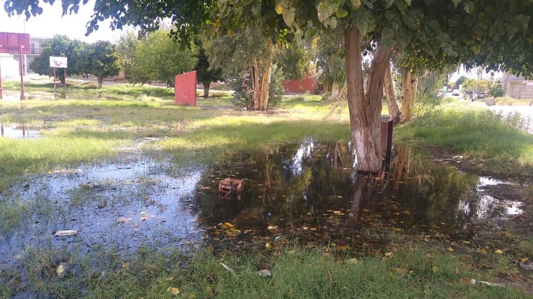 Desde hace más de un mes que el agua se acumula en la cancha. (EL SIGLO DE TORREÓN) 