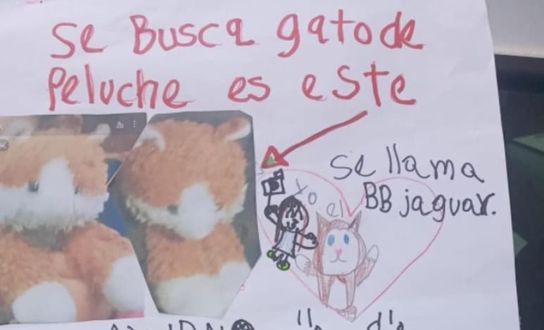 Internautas intentan ayudar a la niña a encontrar su peluche compartiendo su anuncio en redes sociales (CAPTURA)