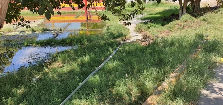 Afirman que caso de dengue hemorrágico no está registrado en el área de vigilancia epidemiológica de la Secretaría de Salud. (EL SIGLO DE TORREÓN)