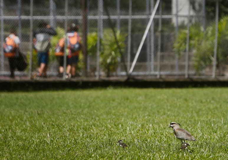 Los proyectos de desarrollo que los principales bancos de China financian en el extranjero tienen el potencial de amenazar la biodiversidad y las tierras indígenas, según un análisis global publicado en Nature Ecology & Evolution. (ARCHIVO)