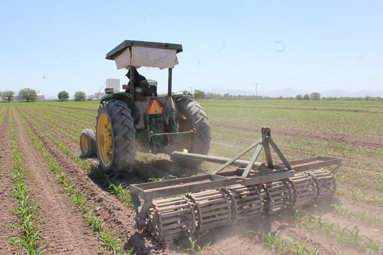 Es así que a pesar de que se haya dado un incremento de un mes a otro, el campo mexicano mostró un retroceso con relación a julio de 2020, escenario de plena pandemia.