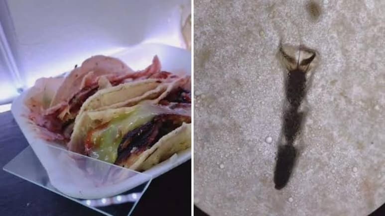 Muchos mexicanos son fans de los tacos, por lo que se puede asegurar que tienen un listado de varios sitios a los que se puede acudir en un momento de antojo, sin embargo, se han puesto a pensar ¿qué tan limpios son? (ESPECIAL)