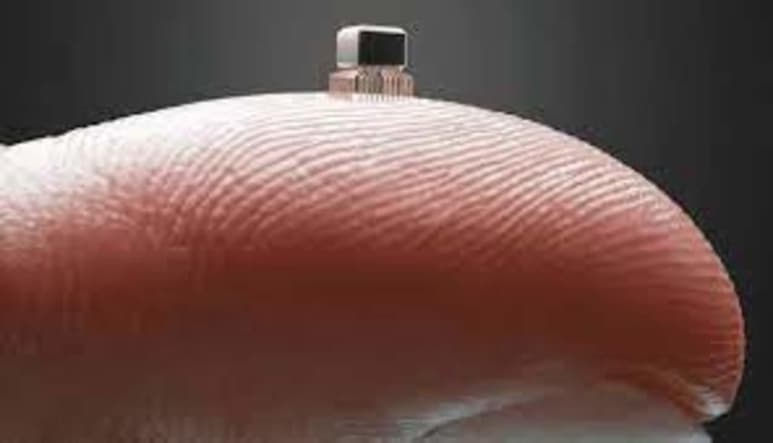 Del tamaño de un grano de arena y con capacidad de volar. Un equipo de científicos se ha inspirado en las semillas que se dispersan con el viento para crear microchips alados que podrían usarse para vigilar la contaminación o en comunicaciones. (ESPECIAL)