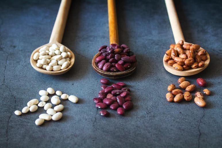 Los frijoles son uno de los alimentos de mayor preferencia en la gastronomía mexicana. Su versatilidad permite preparar una diversidad de platillos que, además de tener un gran sabor, mezclados con otros cereales, alcanzan un gran valor nutritivo.