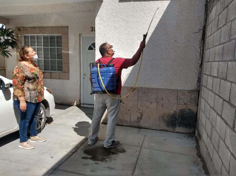 Para reforzar la campaña contra la garrapata, durante esta semana el personal de Prevención Social acudió a los fraccionamientos El Rosario y Francisco Sarabia con los trabajos de fumigación, donde se atendieron casas habitación.