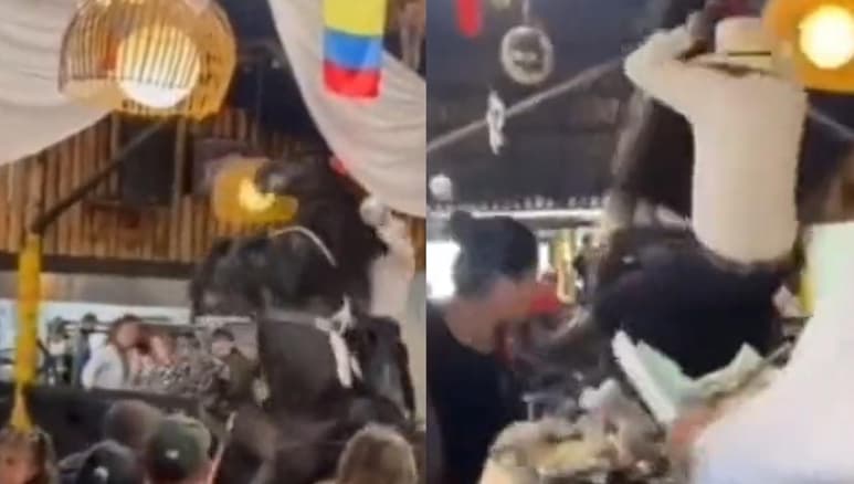 El jinete y el caballo cayeron sobre la mesa de unos comensales cuando el hombre intentó que el animal se parara en dos patas (CAPTURA)
