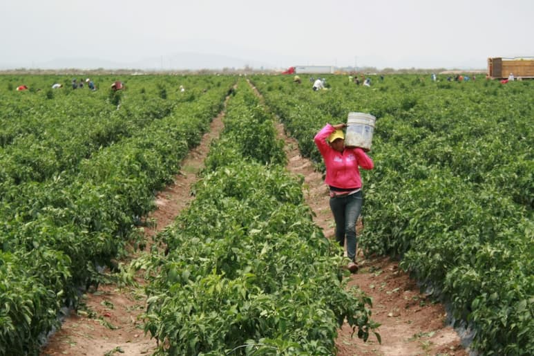Destaca alcalde de Lerdo la participación activa de la mujer rural.