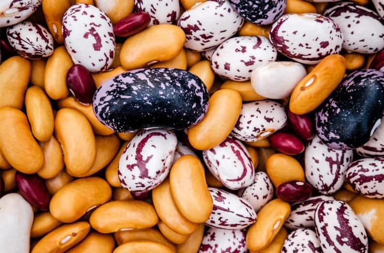 Cuidar tu alimentación es fundamental para prevenir la aparición de enfermedades, entre ellas, el cáncer. Acompañada de revisiones periódicas con un médico y actividad física, una dieta balanceada te ayudará a llevar un estilo de vida más saludable.