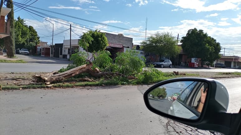 Se informó que en el accidente se vio involucrada Abril Guadalupe, de 29 años de edad. (EL SIGLO DE TORREÓN)