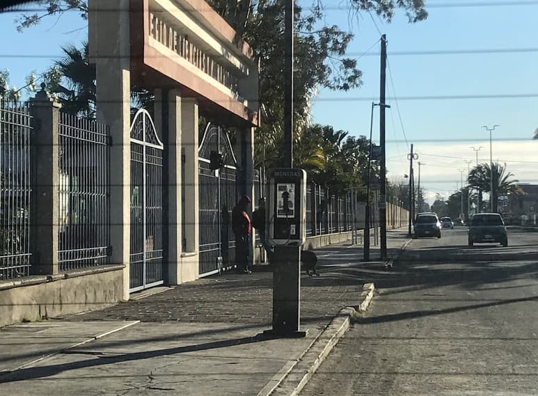 Los jóvenes del Colegio de Ciencias y Humanidades son proactivos y tienen conocimientos adquiridos en las aulas con los que pueden contribuir a apoyar a la población. (EL SIGLO DE TORREÓN)
