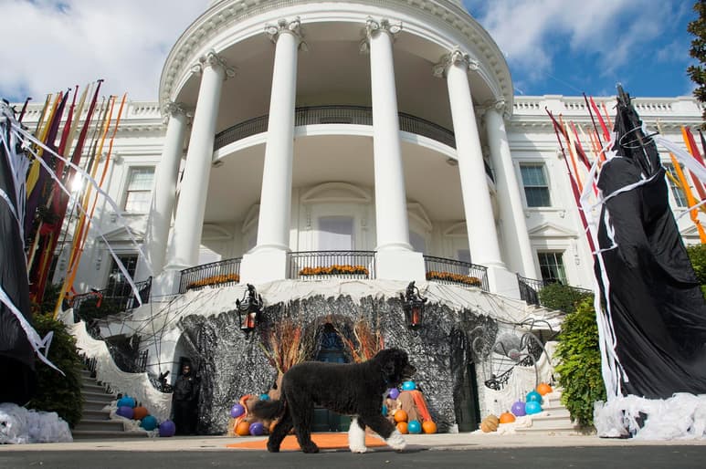 Este año no habrá la acostumbrada celebración de Halloween de la Casa Blanca en Washington. (ARCHIVO)