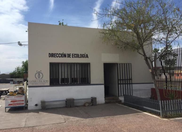 Elementos del Cuerpo de Bomberos y Protección Civil rescataron un pequeño mapache que corría en calles del Centro de Gómez Palacio.