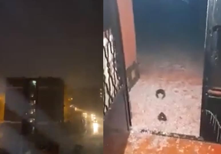 Las fuertes lluvias que se registraron el fin de semana provocaron que decenas de escorpiones salieran de sus madrigueras y atacaran a varias personas (ESPECIAL)