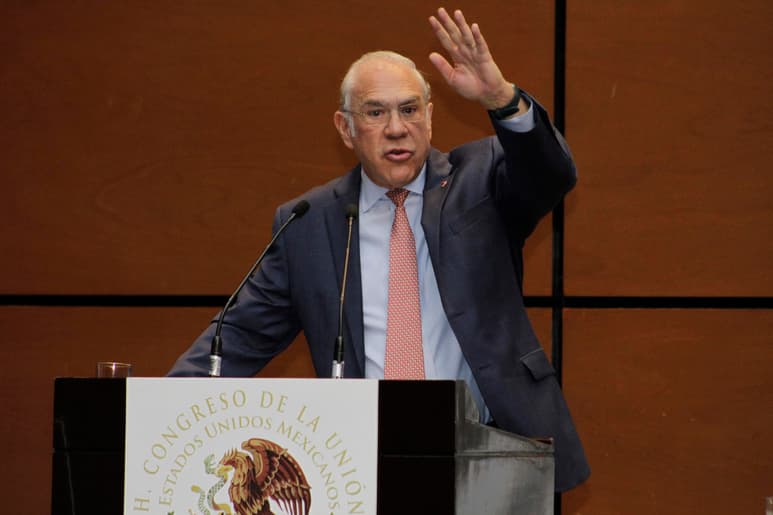 Los mexicanos sienten que tienen un gobierno grande, pero en realidad México tiene un 'gobierno chiquito' si se considera el porcentaje de ingresos que recibe el erario como porcentaje del PIB, afirmó José Ángel Gurría Treviño. (ARCHIVO)