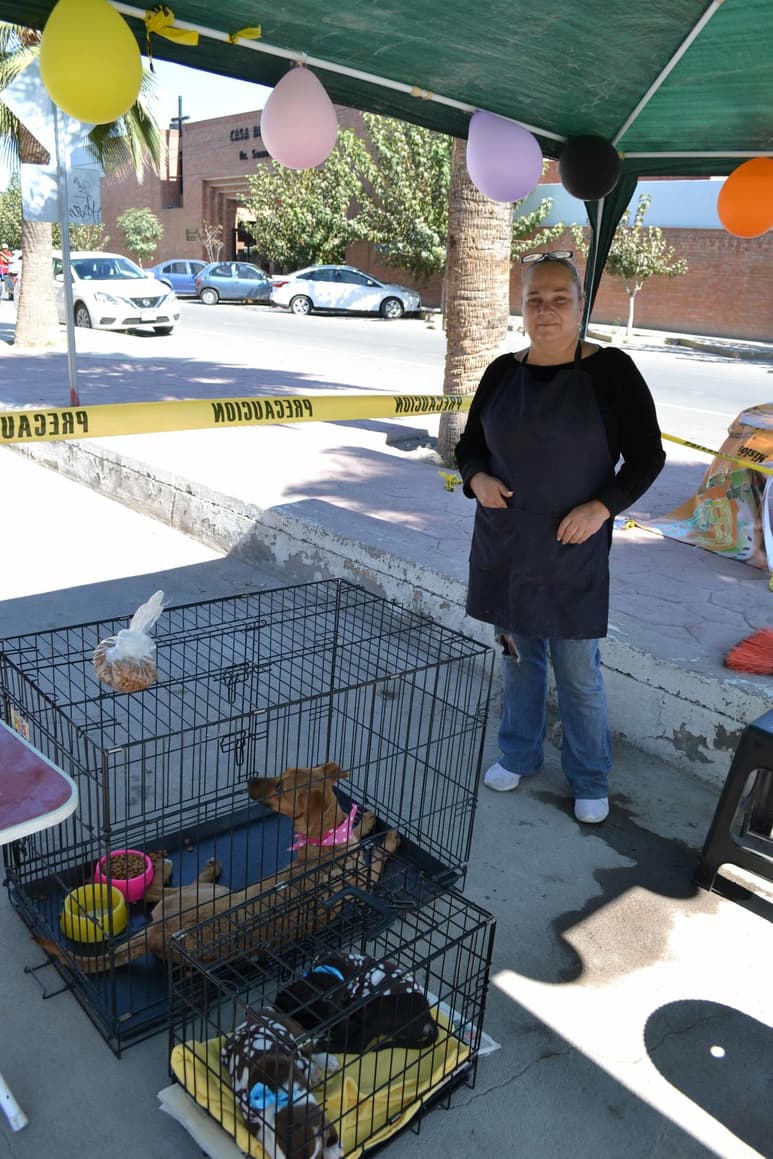 Mayte Flores se dedica a rescatar a perros en situación de calle, resguardándolos en su albergue 'Amigos por Siempre' (EL SIGLO DE TORREÓN/ELENA GONZÁLEZ)