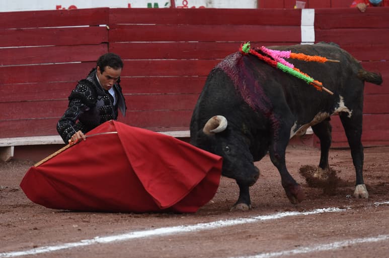 Juan Pablo Sánchez cortó orejas y rabo en Lerdo apenas hace unos meses y viene por otro triunfo (ARCHIVO)