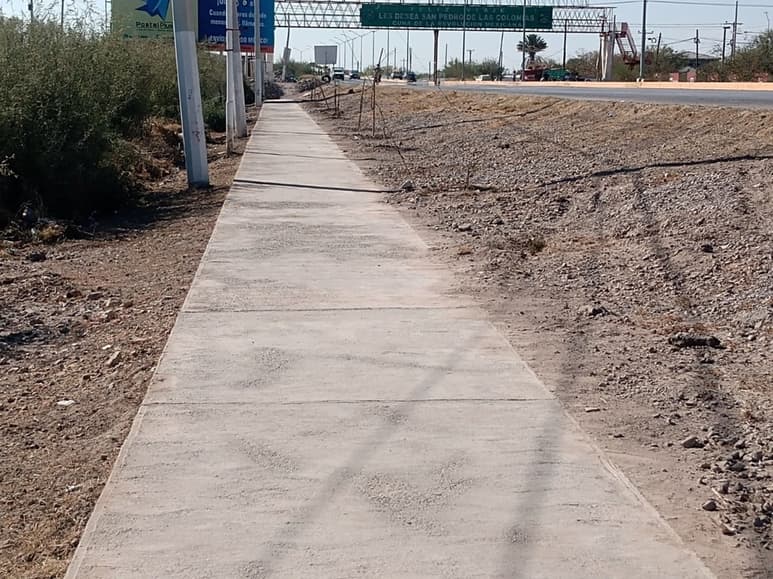 En los espacios realizan limpieza general y se trabaj en la poda de los álamos. (EL SIGLO DE TORREÓN)