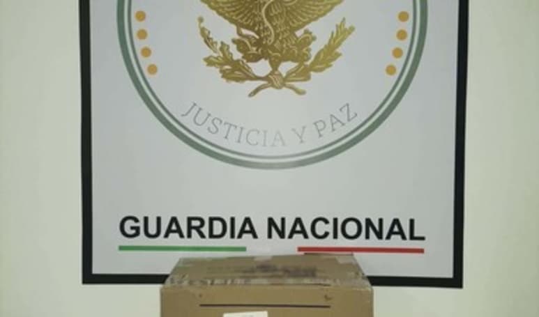 Decomiso se realizó cuando elementos de la Guardia Nacional ingresaron. (EL SIGLO DE TORREÓN)