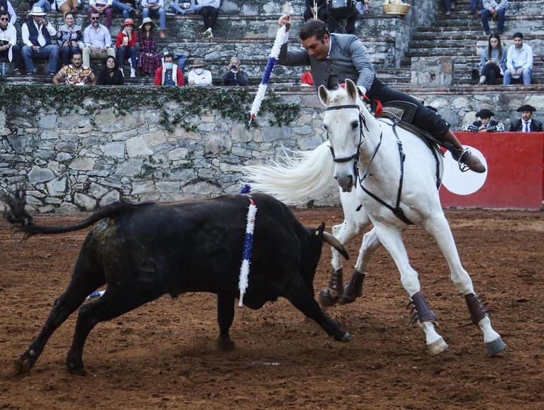 El joven rejoneador Javier Funtanet dio la única vuelta al ruedo, junto al cabo de los Forcados Amadores de México. (CORTESÍA)