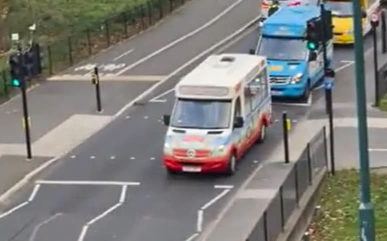 El video del cortejo se volvió viral en Twitter (CAPTURA)