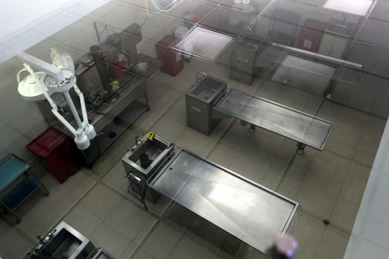Respecto al hallazgo del cuerpo de un bebé desmembrado, ocurrido en el municipio de Indé, la Fiscalía General del Estado de Durango emitió un comunicado para dar a conocer la causa formal del deceso del infante.