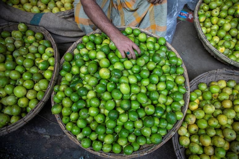 Dentro de los estados que principalmente producen este fruto están Michoacán, Veracruz y Oaxaca. (ARCHIVO)