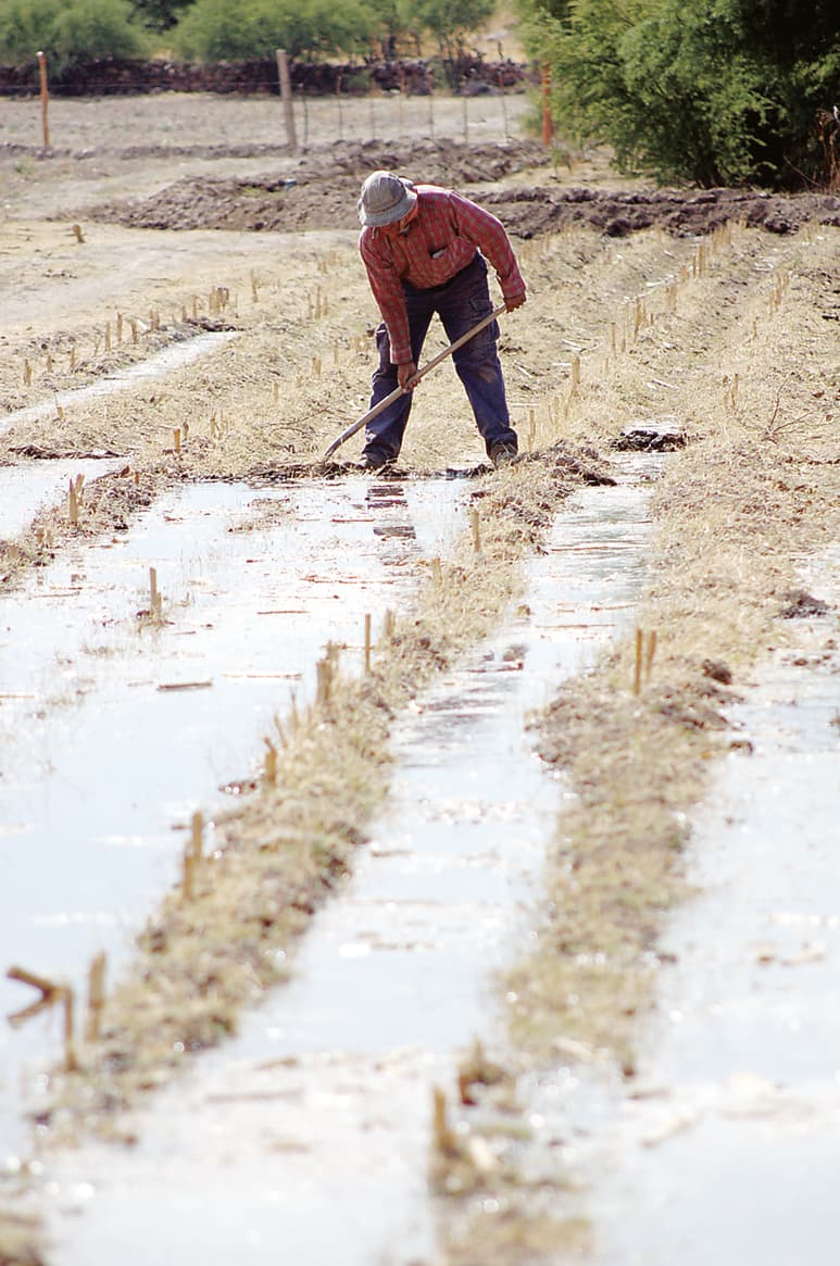 Los productores agrícolas requieren de capacitación. (EL SIGLO DE TORREÓN)