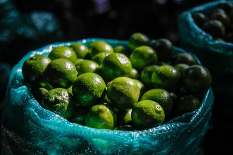 Considerado el compañero perfecto para saborear con tacos, pozole, diferentes tipos de caldos, en agua refrescante e incluso en postres, el limón anotó en las primeras semanas de 2022 su mayor alza de precio en casi ocho años. (ARCHIVO)